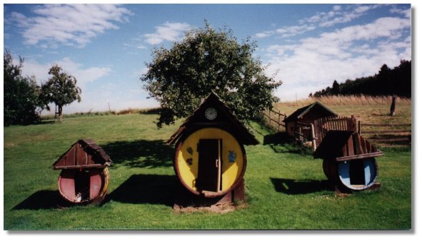 Spielf&auml;sser